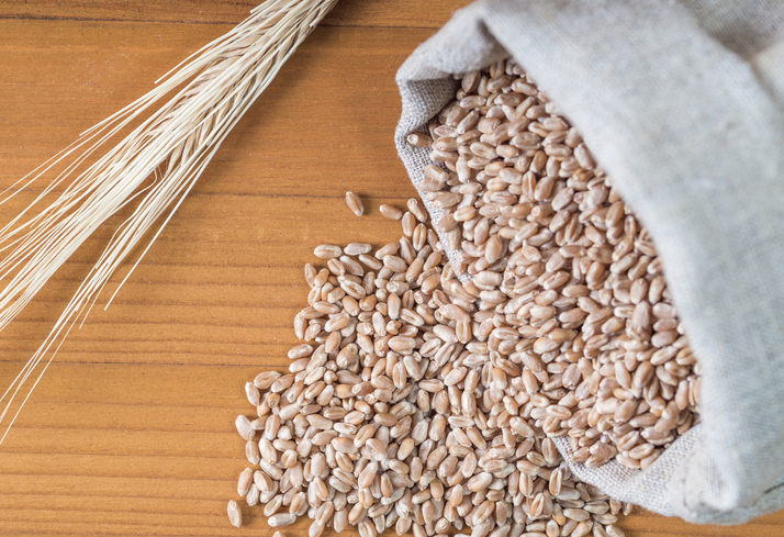 wheat and bulgur wholesale